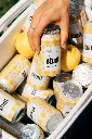 ST_25_juicy_dolly_40.webp